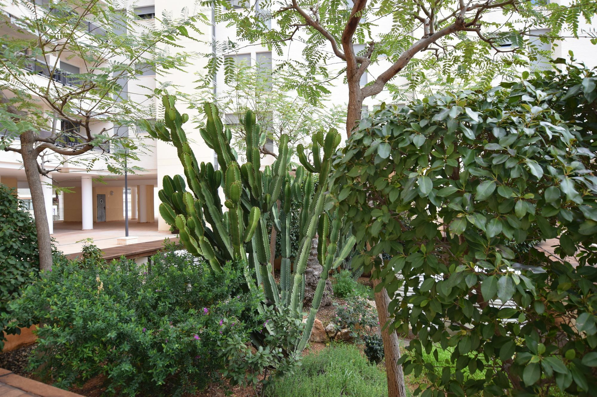 Plaza Mayor 2 Bedroom Apartment Calp Exterior foto